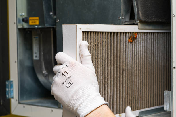 Best Ventilation Cleaning Services  in Prosperity, WV